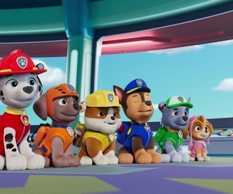 Paw Patrol, la Pat'Patrouille - La grande tombola