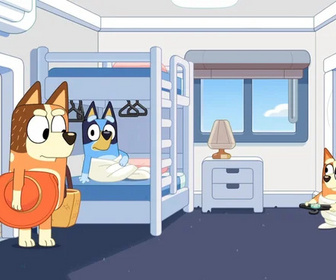 Bluey - 31/07/2026