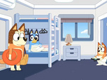 Bluey Bluey