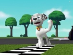 Paw Patrol, la Pat'Patrouille