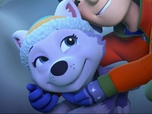 Paw Patrol, la Pat'Patrouille