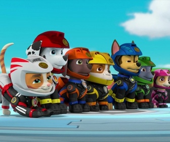 Paw Patrol, la Pat'Patrouille - La Moto Patrouille : Le sauvetage des chatons