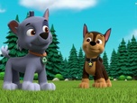 Paw Patrol, la Pat'Patrouille Paw Patrol, la Pat'Patrouille