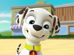 Paw Patrol, la Pat'Patrouille Paw Patrol, la Pat'Patrouille