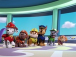 Paw Patrol, la Pat'Patrouille