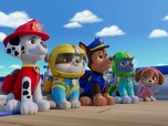 Paw Patrol, la Pat'Patrouille Paw Patrol, la Pat'Patrouille