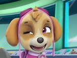 Paw Patrol, la Pat'Patrouille
