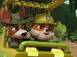 Paw Patrol, la Pat'Patrouille