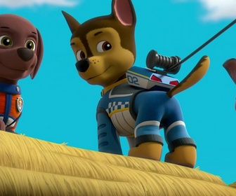 Paw Patrol, la Pat'Patrouille - La Grande Course