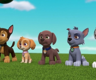 Paw Patrol, la Pat'Patrouille - Galinetta pilote un avion