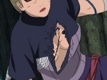 Naruto Shippuden