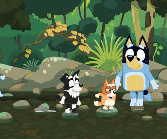 Bluey - La crique