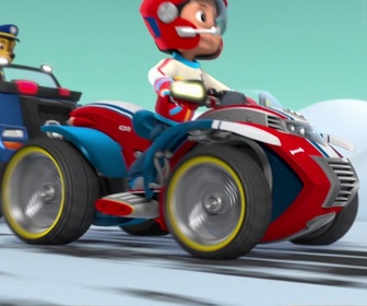 Paw Patrol, la Pat'Patrouille - Danny et l'ours