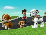Paw Patrol, la Pat'Patrouille Paw Patrol, la Pat'Patrouille