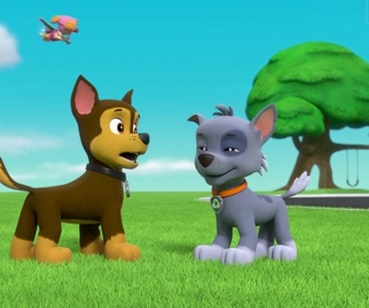 Paw Patrol, la Pat'Patrouille - La ruée vers l'or