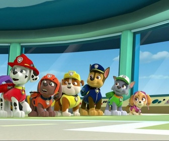 Paw Patrol, la Pat'Patrouille - La pat'patrouille se jette à l'eau