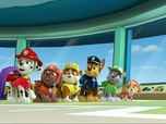 Paw Patrol, la Pat'Patrouille Paw Patrol, la Pat'Patrouille