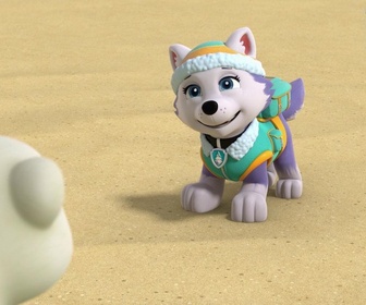 Paw Patrol, la Pat'Patrouille - L'oursonne polaire