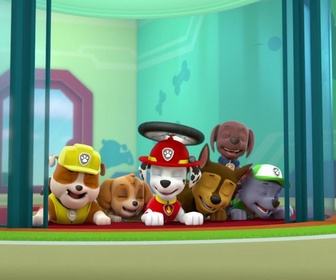 Paw Patrol, la Pat'Patrouille - L'électro-aimant