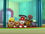 Paw Patrol, la Pat'Patrouille Paw Patrol, la Pat'Patrouille