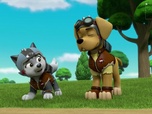 Paw Patrol, la Pat'Patrouille
