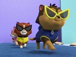 Paw Patrol, la Pat'Patrouille