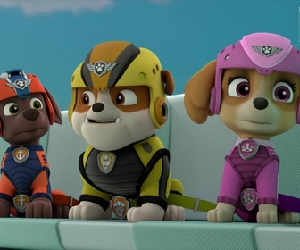 Paw Patrol, la Pat'Patrouille - La Reine Cot-Cot