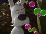Idéfix et les irréductibles