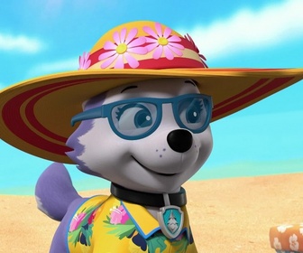 Paw Patrol, la Pat'Patrouille - Mission camion : Le chalet snowboarder