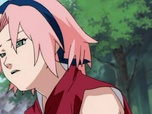 Naruto Naruto
