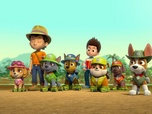 Paw Patrol, la Pat'Patrouille Paw Patrol, la Pat'Patrouille