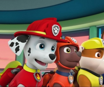 Paw Patrol, la Pat'Patrouille - Le nid d'abeille