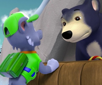 Paw Patrol, la Pat'Patrouille - L'ours somnambule