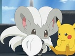 Pokémon Pokémon