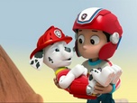 Paw Patrol, la Pat'Patrouille