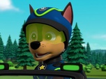 Paw Patrol, la Pat'Patrouille