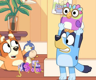 Bluey - 24/05/2026