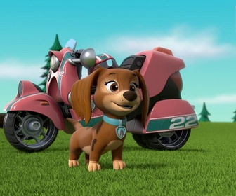 Paw Patrol, la Pat'Patrouille - Liberty à la rescousse