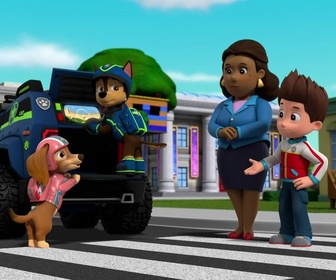 Paw Patrol, la Pat'Patrouille - Un ours dans la ville