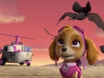 Paw Patrol, la Pat'Patrouille Paw Patrol, la Pat'Patrouille