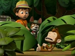 Paw Patrol, la Pat'Patrouille