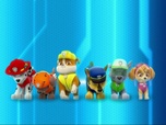 Paw Patrol, la Pat'Patrouille