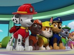 Paw Patrol, la Pat'Patrouille