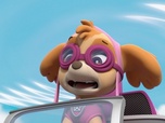 Paw Patrol, la Pat'Patrouille Paw Patrol, la Pat'Patrouille