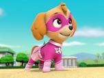 Paw Patrol, la Pat'Patrouille Paw Patrol, la Pat'Patrouille