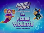 Paw Patrol, la Pat'Patrouille