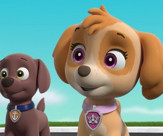 Paw Patrol, la Pat'Patrouille - Le concours de sculpture sur sable