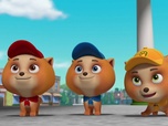 Paw Patrol, la Pat'Patrouille