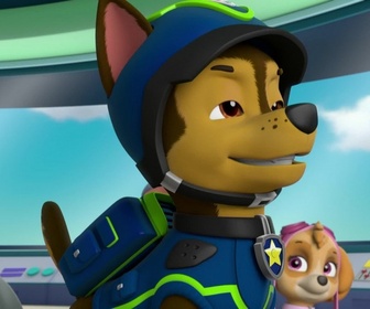 Paw Patrol, la Pat'Patrouille - A la recherche du sac perdu