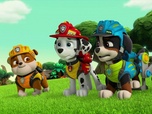 Paw Patrol, la Pat'Patrouille